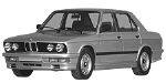 BMW E28 P0391 Fault Code